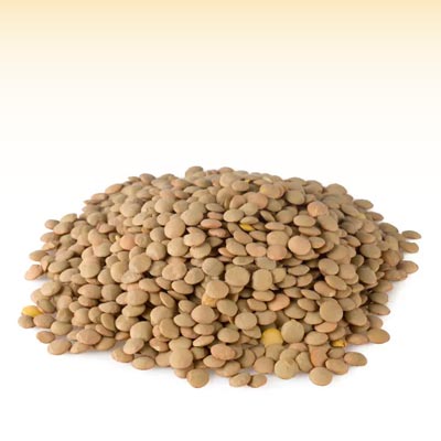 Lentils Lentejas Granaris